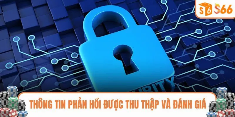 Thông tin phản hồi được thu thập và đánh giá chi tiết